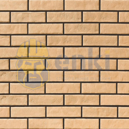 955 955